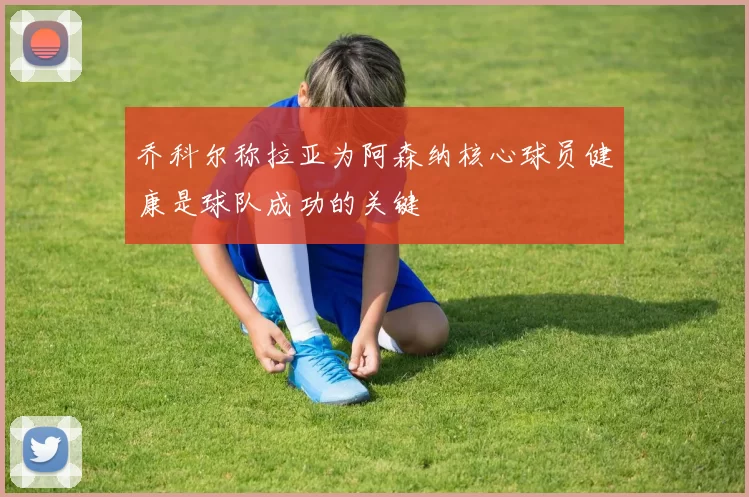 乔科尔称拉亚为阿森纳核心球员健康是球队成功的关键